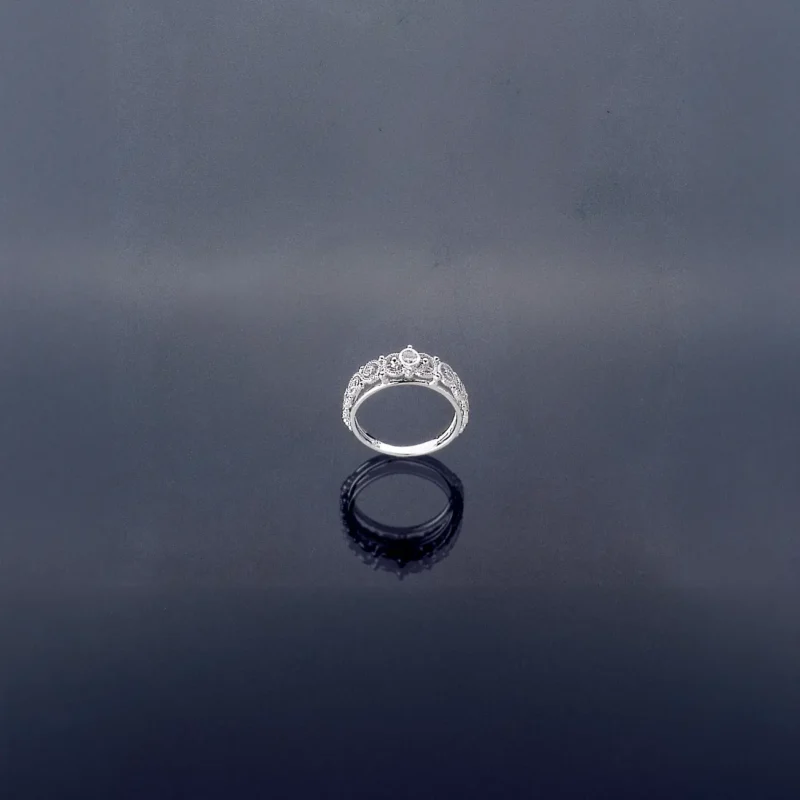 Anello D1b