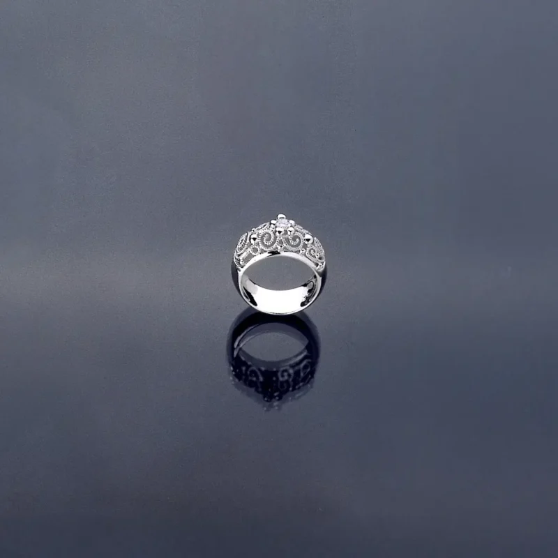 Anello D2b